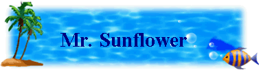 Mr. Sunflower